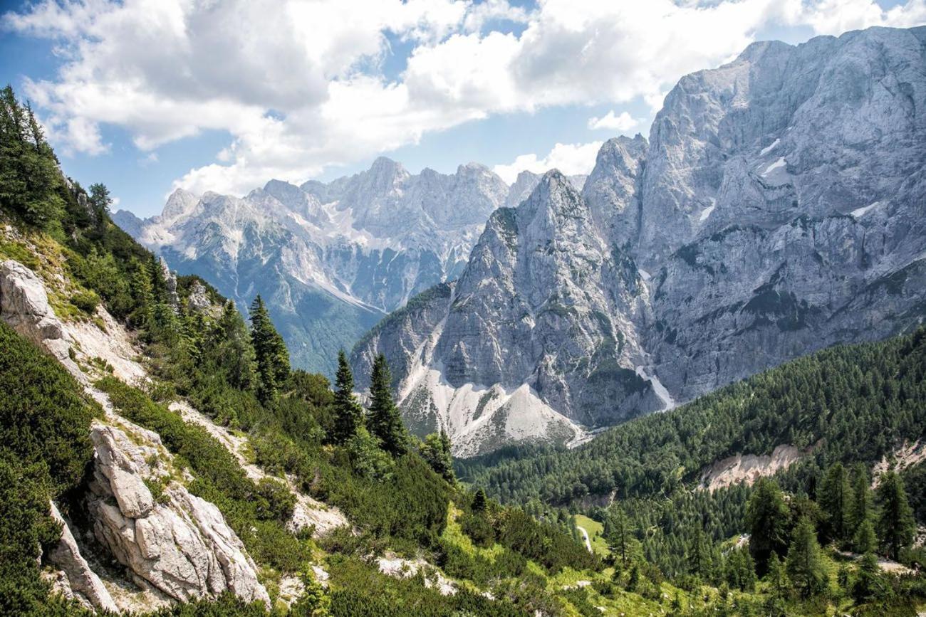 Sunny Retreat Apartment Kranjska Gora Ngoại thất bức ảnh