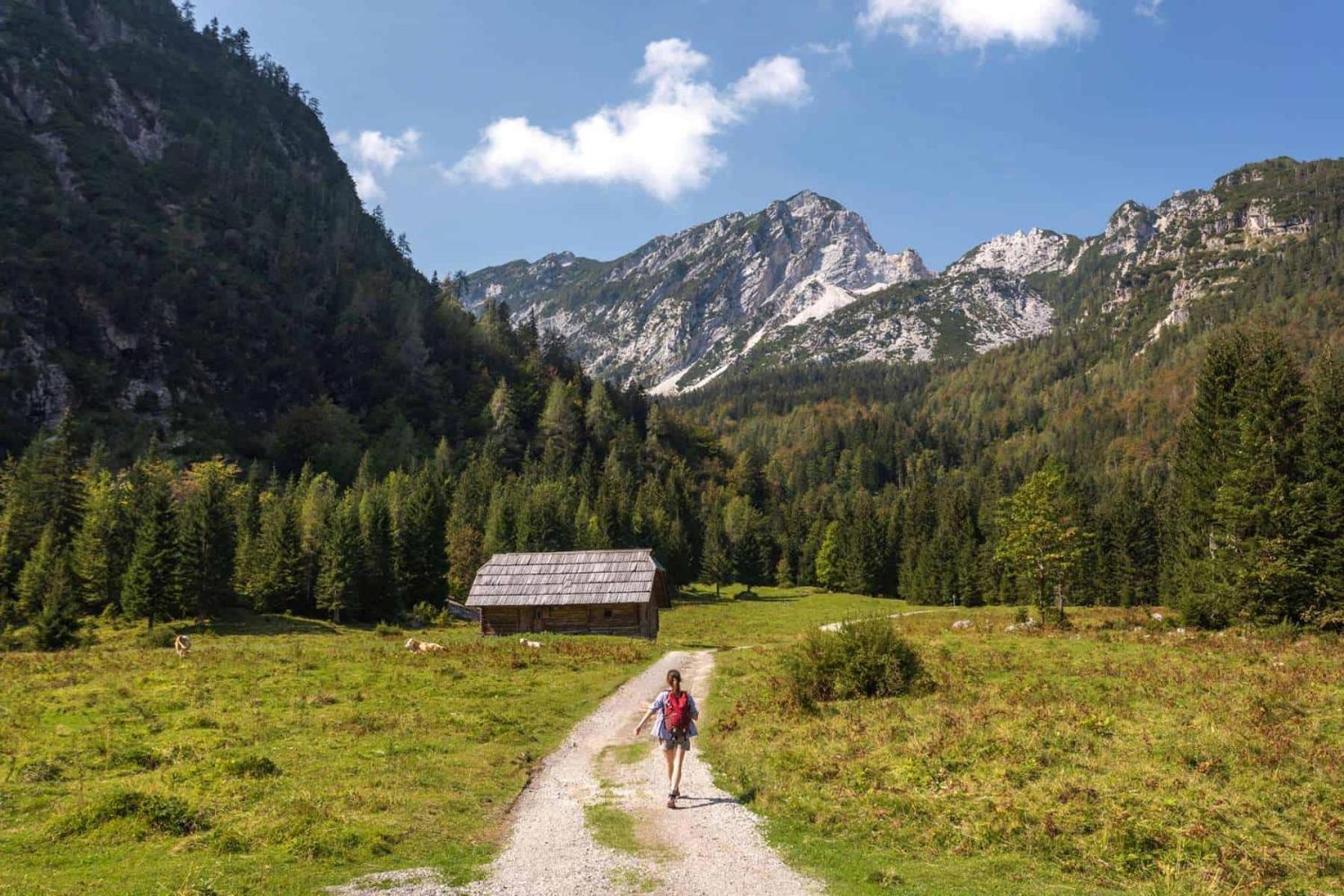Sunny Retreat Apartment Kranjska Gora Ngoại thất bức ảnh