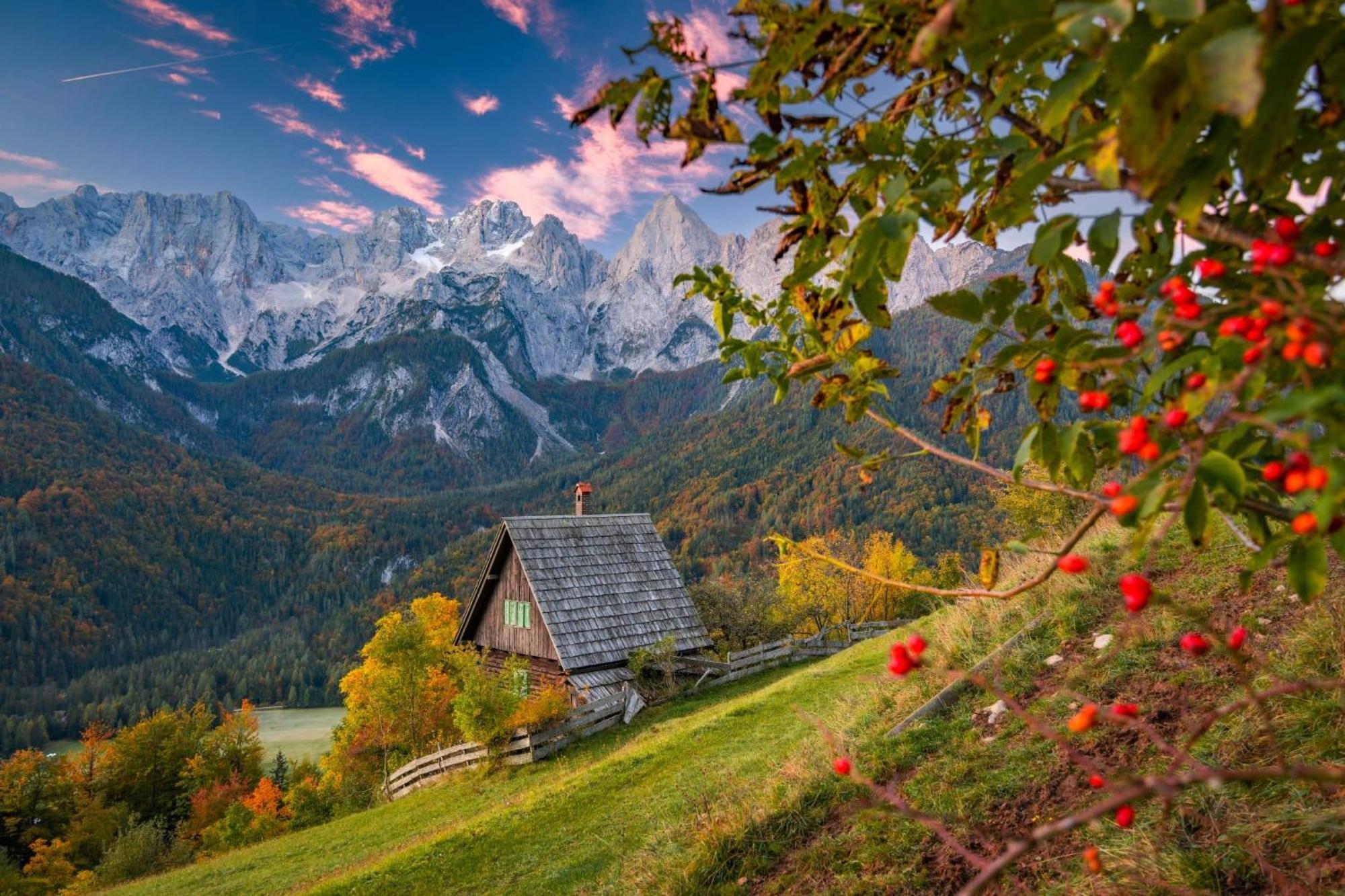 Sunny Retreat Apartment Kranjska Gora Ngoại thất bức ảnh